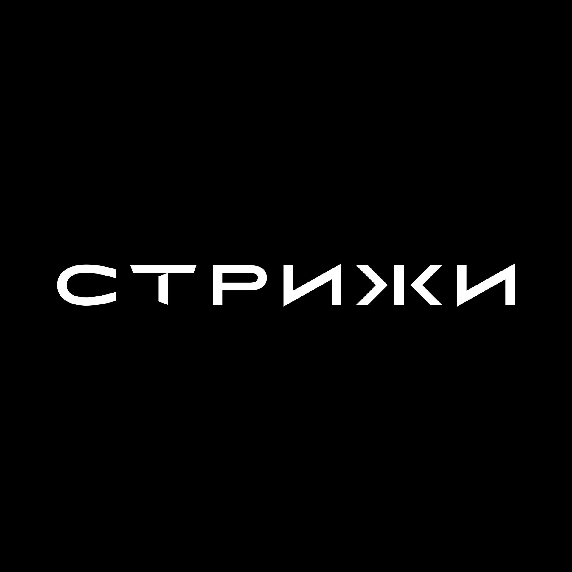 ГК Стрижи, логотип 2022